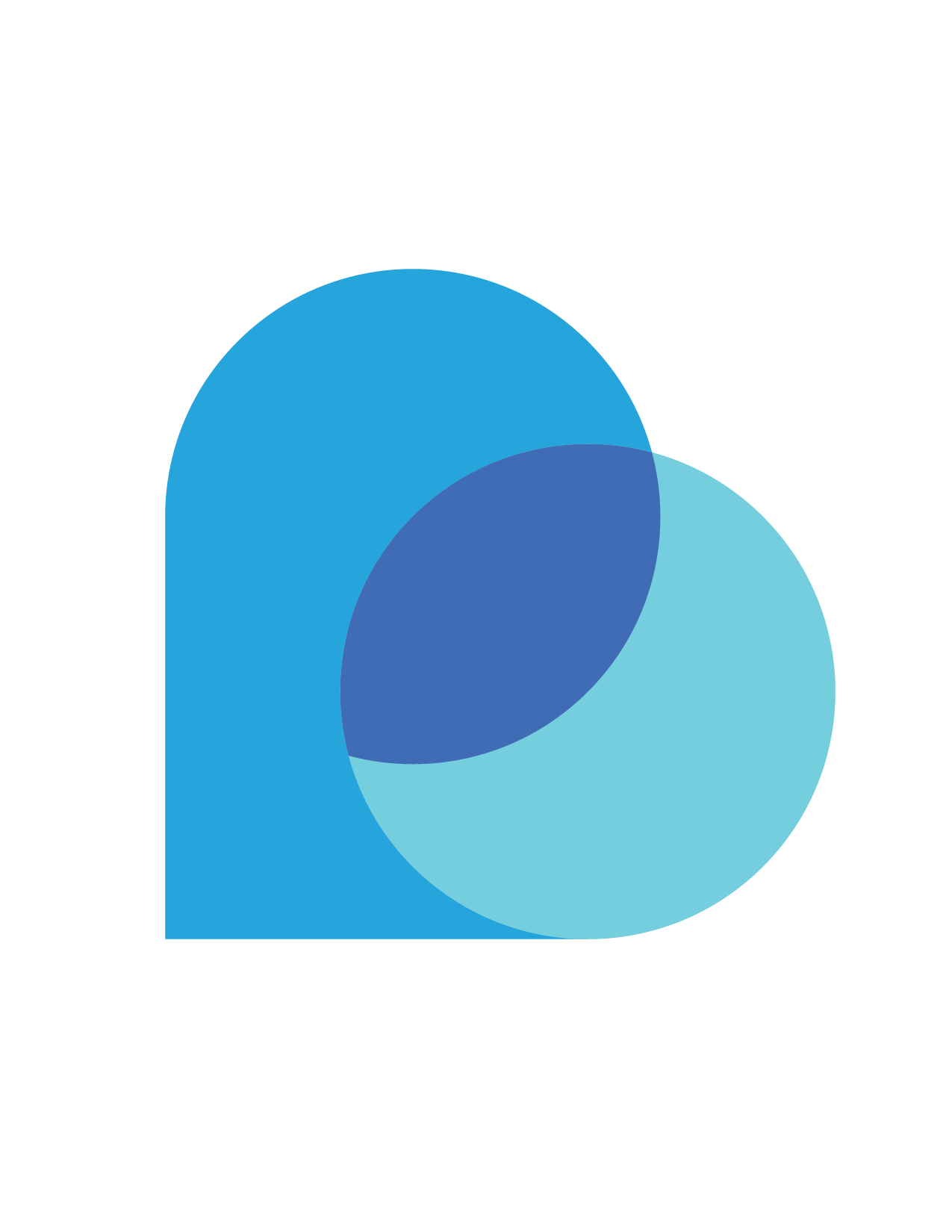 Research Insights & Outcomes logo